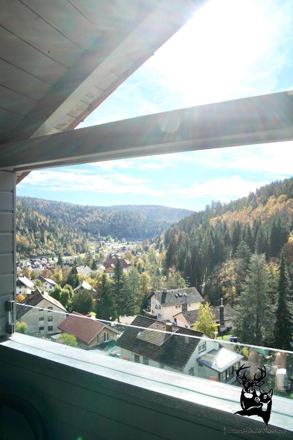 Apartment-Chalet Panorama Todtmoos Exterior photo